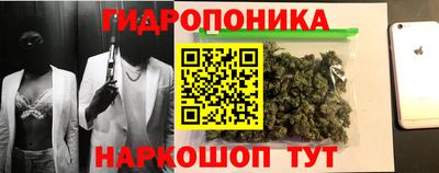 индика Канаш