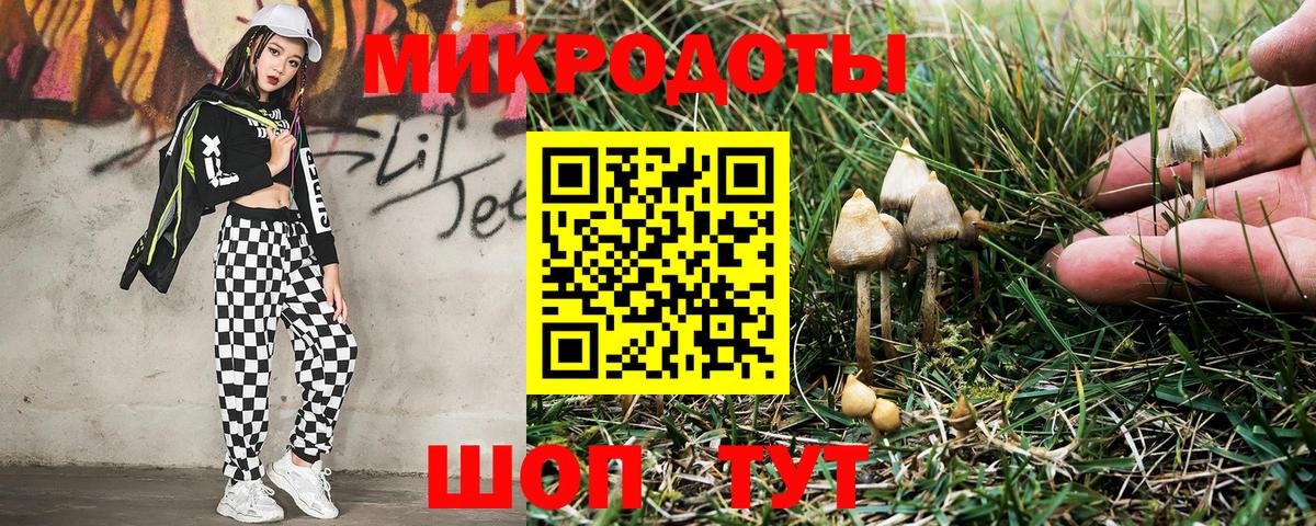Галлюциногенные грибы Psilocybine cubensis  Вход с VPN  Озёры 